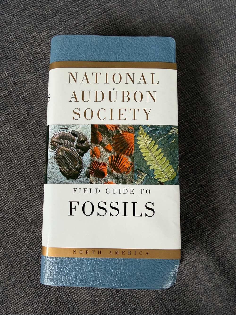 Field Guide to Fossils — Blue
